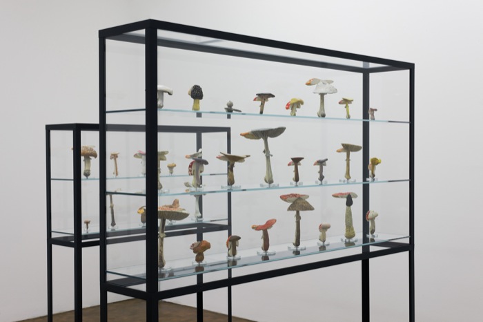 Eröffnungssport – zurück zur Natur! Carsten Hoeller Doppelpilzvitrine 2009 Eröffnungssport – zurück zur Natur!